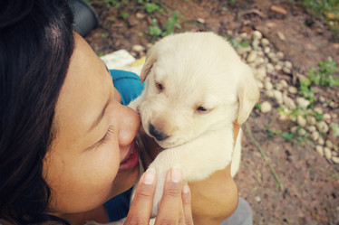 Similar image 8724825