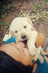 Similar image 8724826