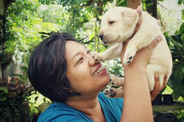 Similar image 8724829