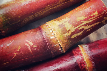 Similar image 8725110