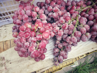 Similar image 8725150