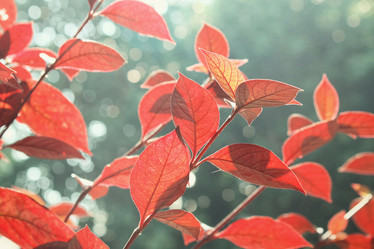 Similar image 8725158