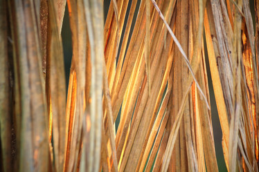 Similar image 8725160