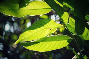 Similar image 8725163