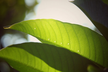 Similar image 8725165