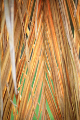 Similar image 8725167