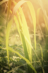 Similar image 8725171