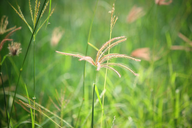 Similar image 8725173