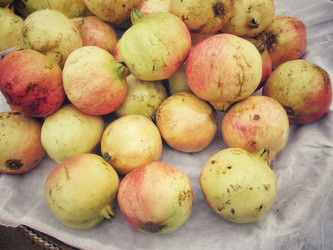 Similar image 8725177