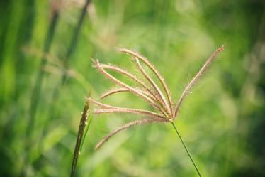 Similar image 8725179