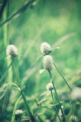 Similar image 8725215