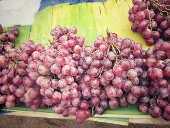 Similar image 8725217