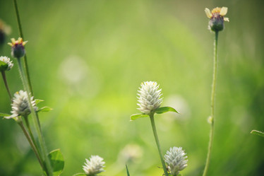 Similar image 8725219