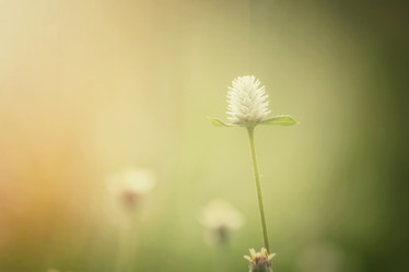 Similar image 8725221