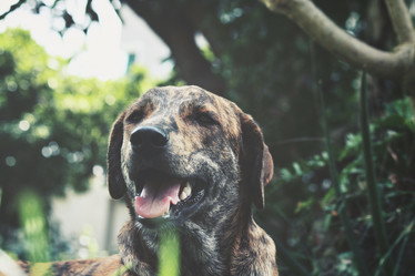 Similar image 8725223