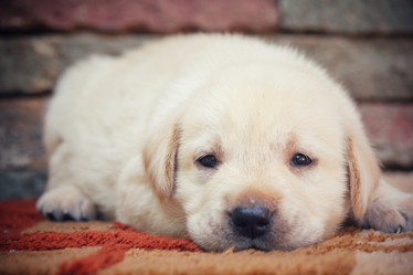 Similar image 8725225