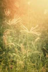 Similar image 8725227