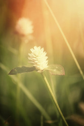 Similar image 8725228