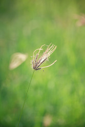 Similar image 8725230