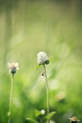 Similar image 8725232