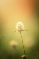 Similar image 8725234