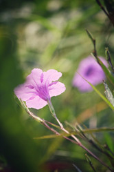 Similar image 8725236