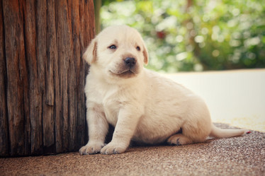 Similar image 8725239