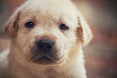 Similar image 8725243