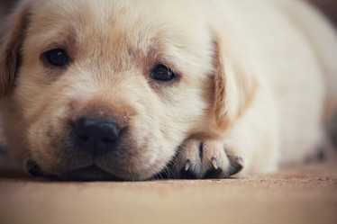 Similar image 8725247