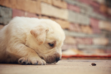 Similar image 8725251