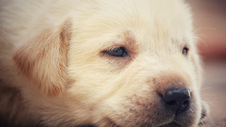 Similar image 8725254