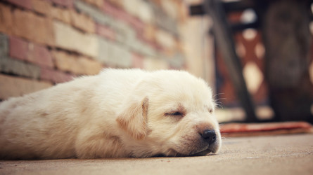 Similar image 8725368