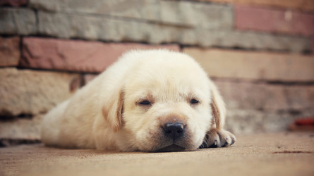 Similar image 8725370