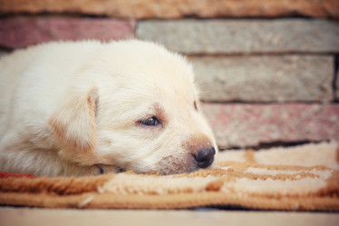 Similar image 8725372