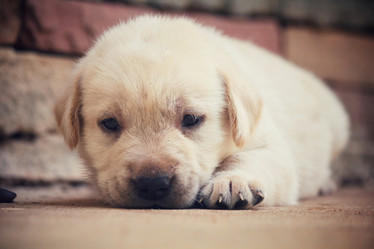 Similar image 8725374