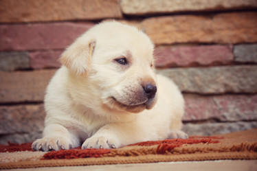 Similar image 8725380