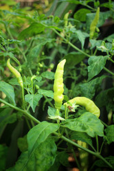 Similar image 8725387