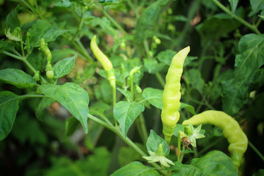 Similar image 8725391