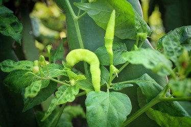 Similar image 8725396