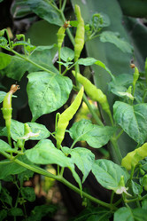 Similar image 8725398