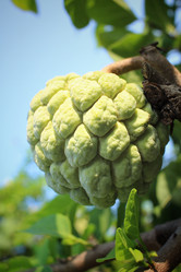 Similar image 8725401