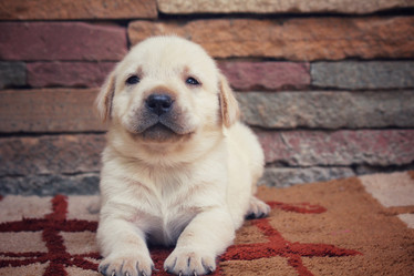 Similar image 8725407