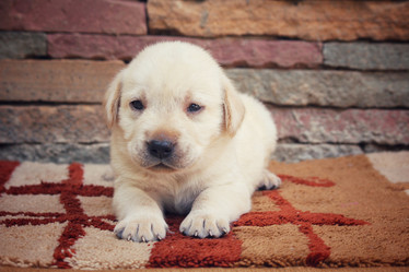 Similar image 8725417