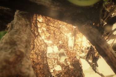 Similar image 8725421