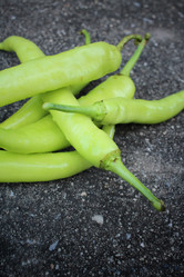 Similar image 8725422