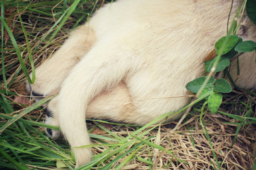 Similar image 8725435