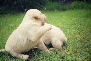 Similar image 8725441