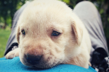 Similar image 8725443