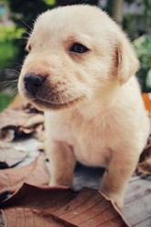 Similar image 8725447