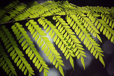 Similar image 8725449